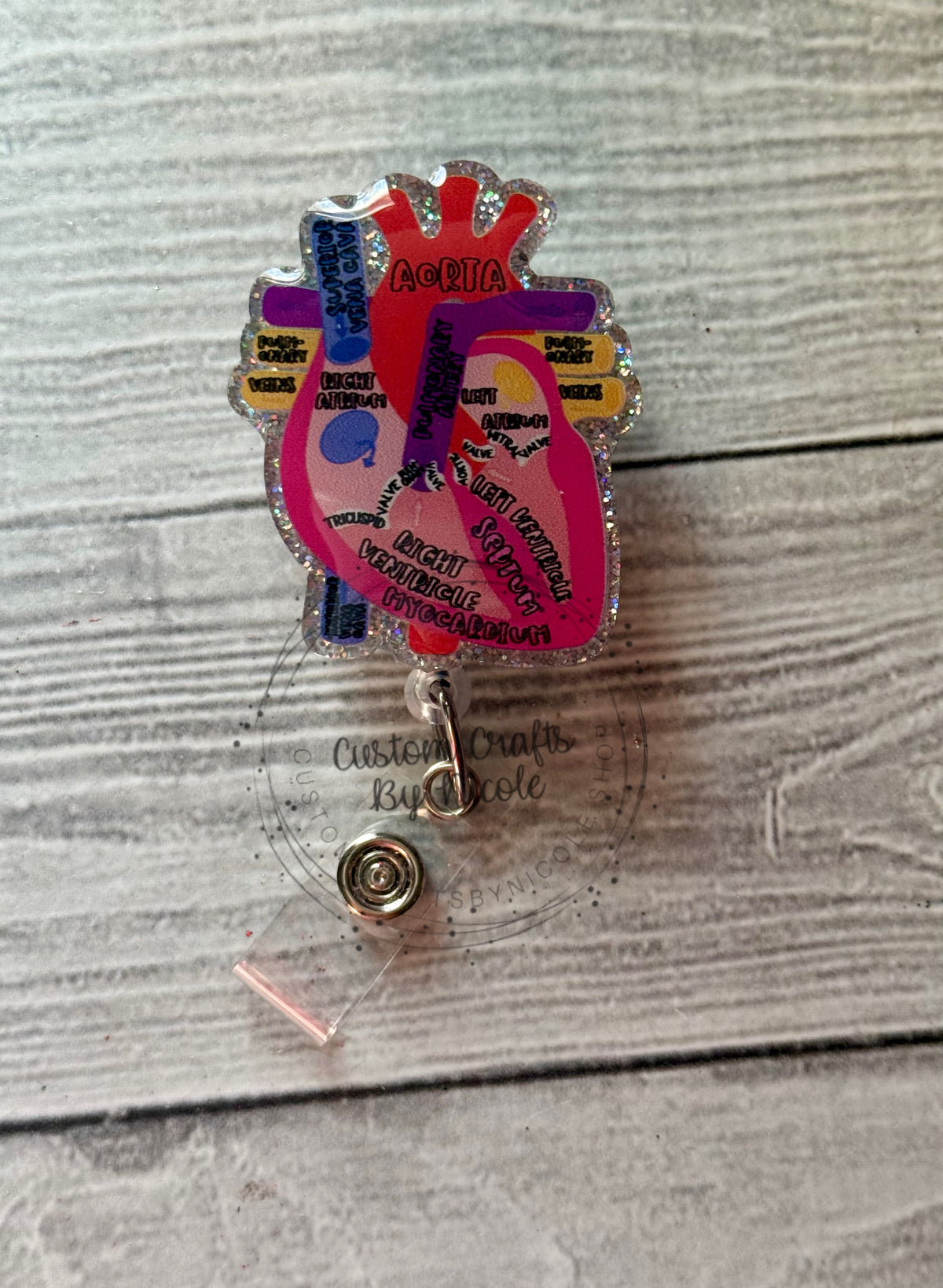 Labeled Anatomical heart
