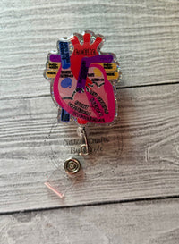 Labeled Anatomical heart
