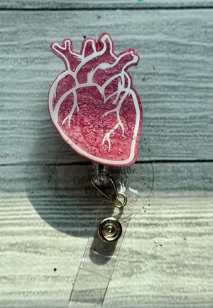 Anatomical heart