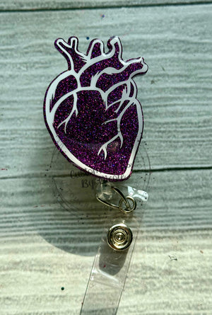 Anatomical heart
