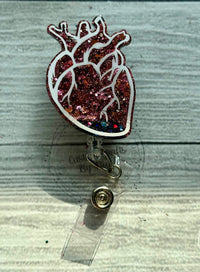 Anatomical heart