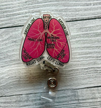 Anatomically labeled lungs