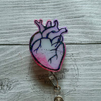 Anatomical heart