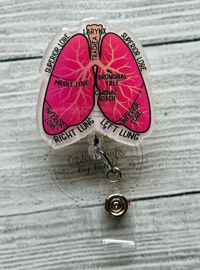 Anatomically labeled lungs